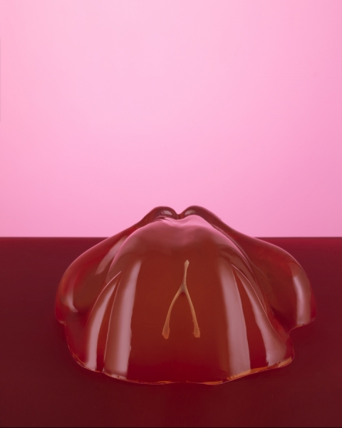 Photograph Liz Mcburney Turkey Jelly on One Eyeland